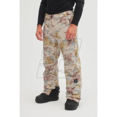 Ski pants O&#39;Neill Hammered M 2550020-31014