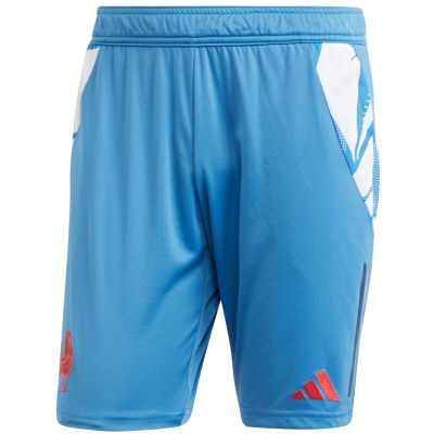 8. Adidas France Gym Men's Shorts Blue JC7182