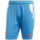 8. Adidas France Gym Men's Shorts Blue JC7182