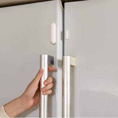 11. Door and Window Sensor P2 (DW-S02D)