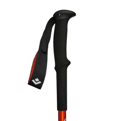 3. Black Diamond Trail Back Burnt Sienna Trekking Poles