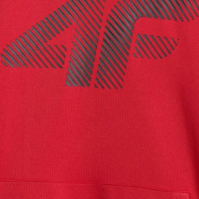 4. Sweatshirt 4F M 4FWMM00TSWSM1766 062S