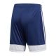 4. Adidas Tastigo 19 M DP3245 shorts