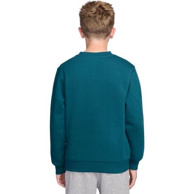 2. Nike Sportswear Club Fleece Kids' Sweatshirt Green FD3006 372