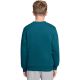 2. Nike Sportswear Club Fleece Kids' Sweatshirt Green FD3006 372