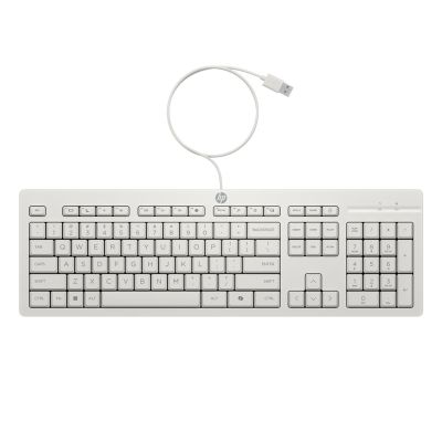 13. HP Wired Mouse and Keyboard 225 Combo