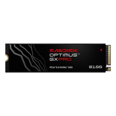3. Sandisk Optimus GX Pro 8100 2 TB SSD SDSP82200TAN