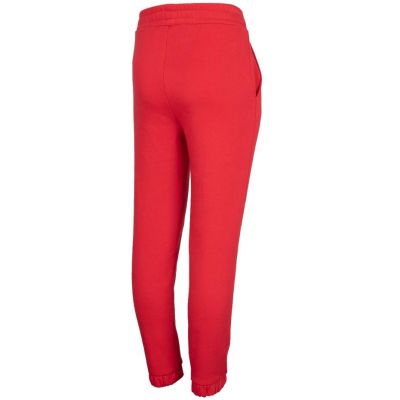 2. Pants 4F Jr HJZ22 JSPDD002 62S