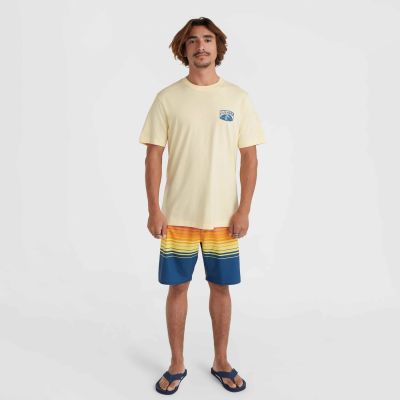 10. O'Neill Beach Graphic T-Shirt M 92800613972