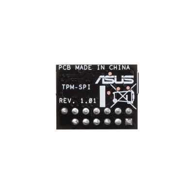 2. ASUS TPM SPI Module 90MC07D0-M0XBN1