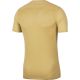 6. Nike Dry Park VII JSY SS JR BV6741-729 Football Jersey