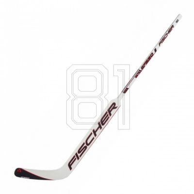 3. Fischer GF550 Sr '20 H17720.27 Hybrid Goalkeeper Stick