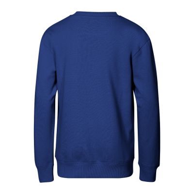 4. Children's Crew Sweatshirt (cornflower blue)