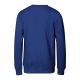 4. Children's Crew Sweatshirt (cornflower blue)