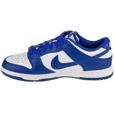 2. Nike Dunk Low Retro M DV0833-103 shoes