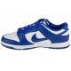 2. Nike Dunk Low Retro M DV0833-103 shoes