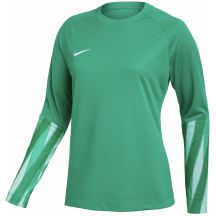 Nike Dri-Fit Park V Stadium Women's Jersey Green HV8316 324