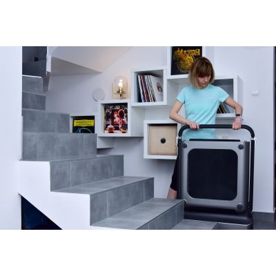 51. Kingsmith WalkingPad TRR1F R1 Sports Treadmill