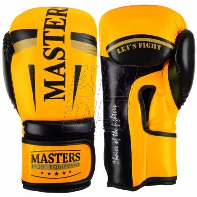 11. Boxing gloves MASTERS RPU-FT 011123-0210