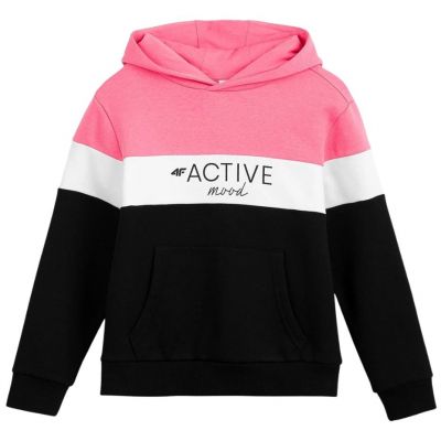 Sweatshirt 4F Jr HJL22 JBLD002 20S