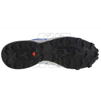 4. Salomon Speedcross 6 GTX M 417388 shoes