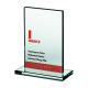 9. Engraved glass trophy + paint filling