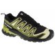 5. Salomon XA Pro 3D v9 GTX M L47741900 Running Shoes