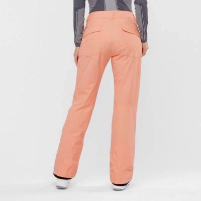 4. Salomon EDGE Snowboard Pants W LC1387 400