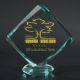 2. Engraved glass trophy with case + paint filling