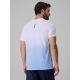 2. Men's regular printed T-shirt 4F 4FRSS26TTSHM4040-33A
