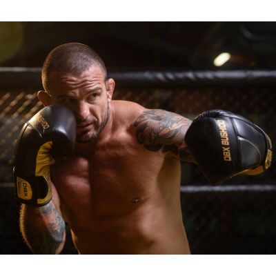 5. 10oz Boxing Gloves - Hammer Gold - Legacy Series