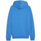 8. Puma Team Goal Casuals Hooded M 658595 02 sweatshirt