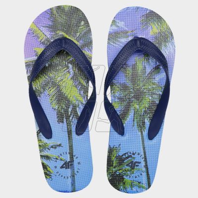 4. Flip-flops 4F Jr FJSS23FFLIM083 90S