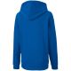 2. Puma teamGOAL 23 Casuals Hoody Jr 656711 02