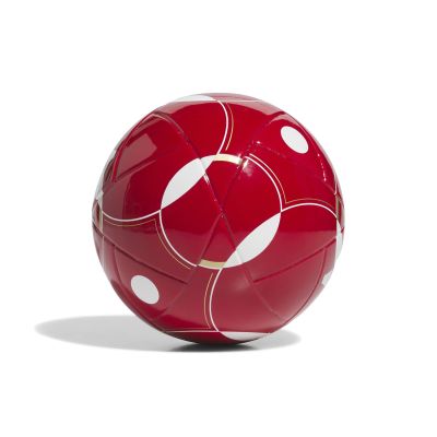 2. adidas Liverpool FC Mini Home Ball JY6165