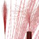 11. DECORATIVE BRANCH 117CM RED