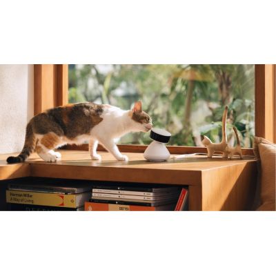 3. Petlibro Scout Smart Camera Dome IP Security Camera Indoor 1920 x 1080 px Ceiling/Wall/Desk
