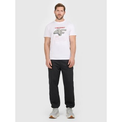 3. Men's regular printed T-shirt 4F 4FRAW25TTSHM3612-10S