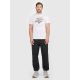 3. Men's regular printed T-shirt 4F 4FRAW25TTSHM3612-10S