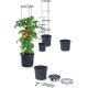 20. TOMATO PLANTING POT WITH LADDER CAPACITY 12L