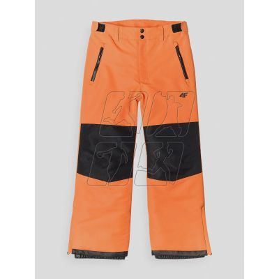 Ski pants 4F Jr 4FJWAW24TFTRM658-70S