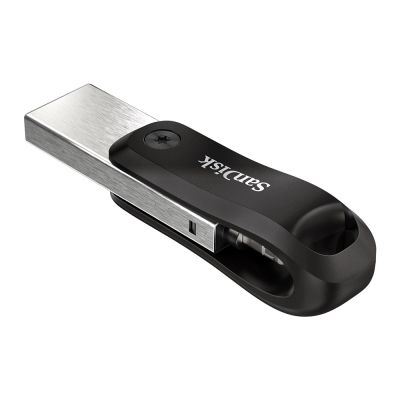 4. SanDisk iXpand GO SDIX60N-256G-GN6NE pendrive (256GB; Lightning, USB 3.0; silver color)