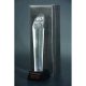 7. Engraved glass trophy with case + paint filling