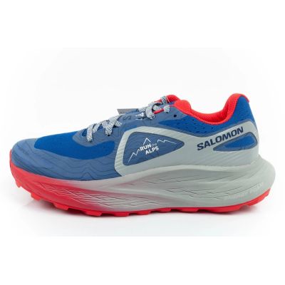 11. Salomon Glide Max TR Run The Alps shoes 473856