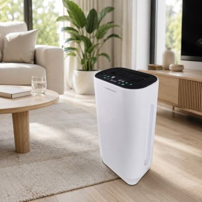 29. ESPERANZA BORA EHP003 Air Purifier