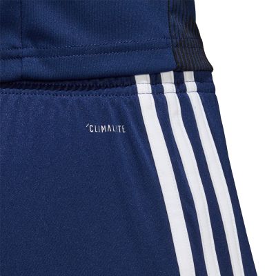 8. adidas Tastigo 19 M DP3245 shorts