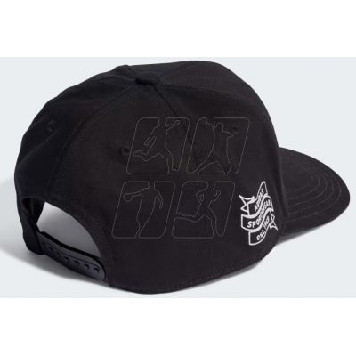 2. Cap adidas SnapBack IK8359