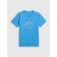 7. Men's regular printed T-shirt 4F 4FRSS26TTSHM4039-33S