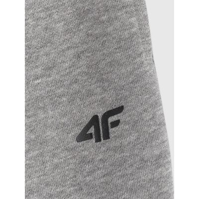 8. Boys' sweatpants 4F 4FJRAW25TTROM1670-20S