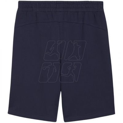 2. Puma teamGOAL Casuals M shorts 658608 06